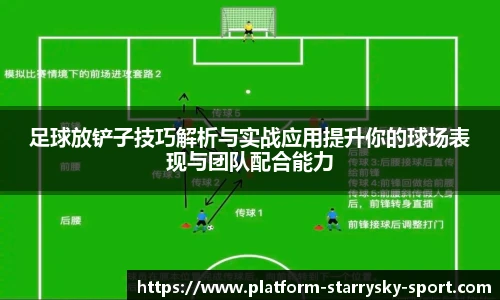 星空体育官网入口